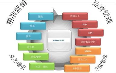 电商运营高手为何不自创品牌？解析平台开发与运营的深层逻辑