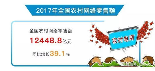 2017年全国农村电子商务运行报告 电商平台开发与运营的机遇与挑战
