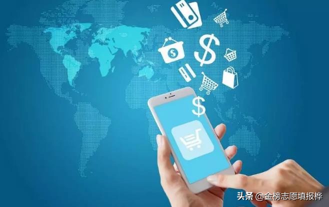 电子商务 平台开发与运营的核心解析