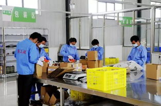 电商筑梦，振兴乡村 徽县电子商务平台开发运营助力脱贫攻坚