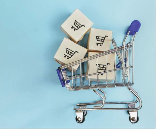 市场细分驱动下的得物 深化经营现状、挑战与未来电商平台突破之路