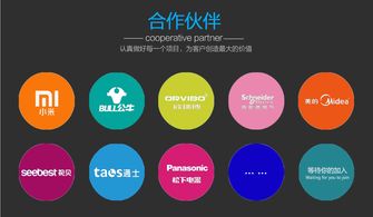 迅速开发与运营 智能电器产品的电子商务平台模式探析