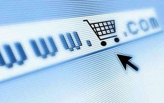 我市新出台激励措施，力促电子商务平台开发与运营发展